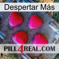 Despertar Más 13